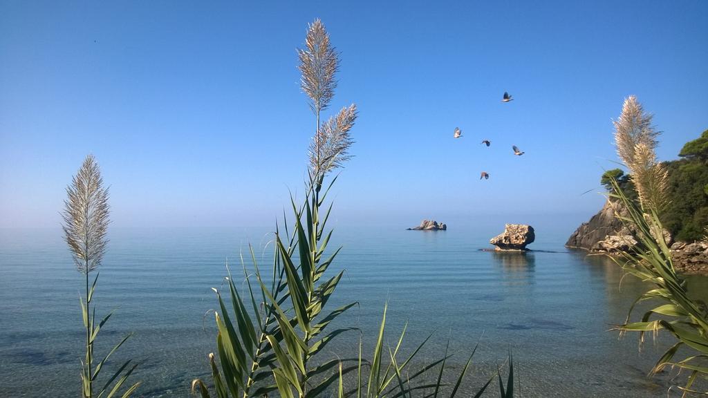 פלקאס Yaliskari Beach מראה חיצוני תמונה